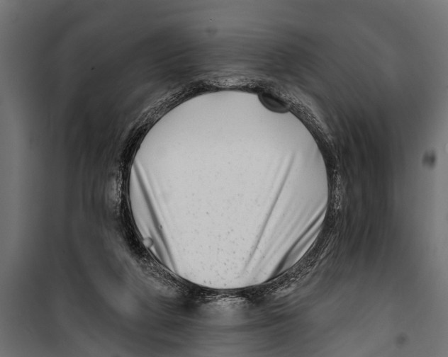 X0000099960210200806201345