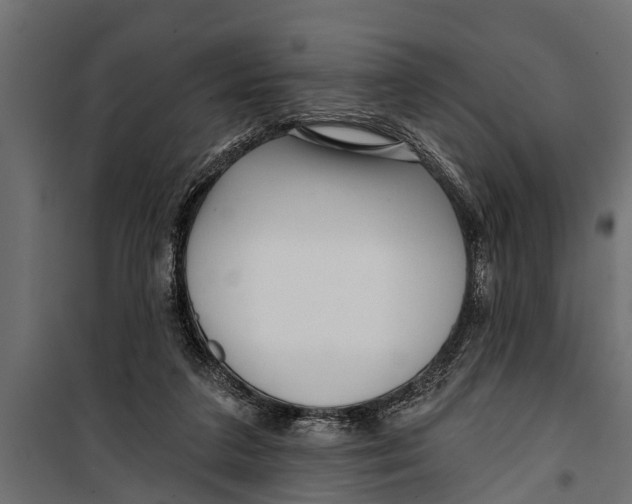 X0000099960211200806201345