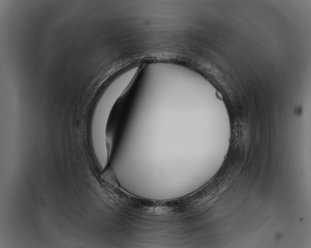 X0000099960212200806201345