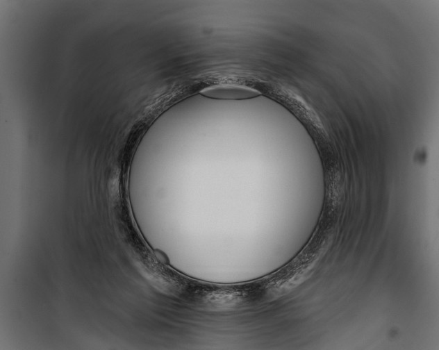 X0000099960213200806201345