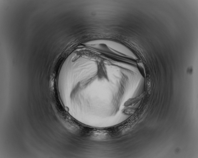 X0000099960214200806201345