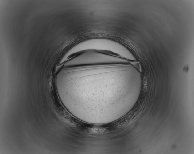 X0000099960215200806201345