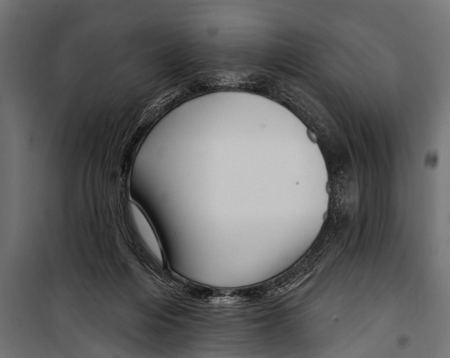 X0000099960216200806201345