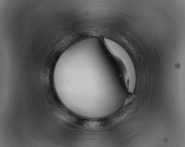 X0000099960217200806201345