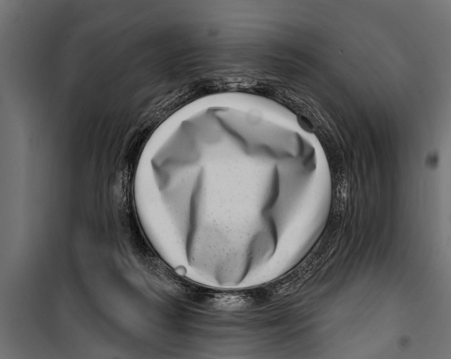X0000099960218200806201345