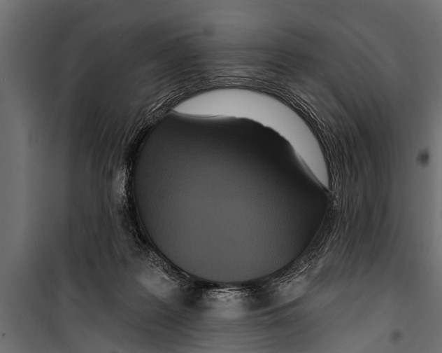 X0000099960219200806201345
