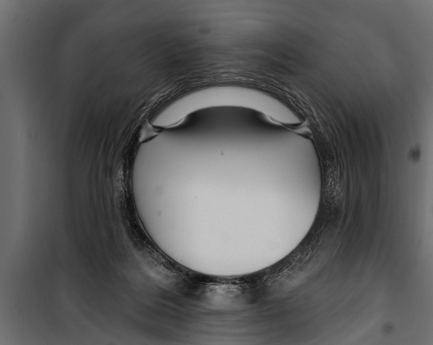 X0000099960220200806201345