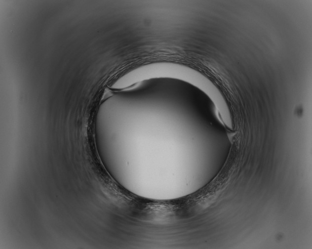 X0000099960221200806201345