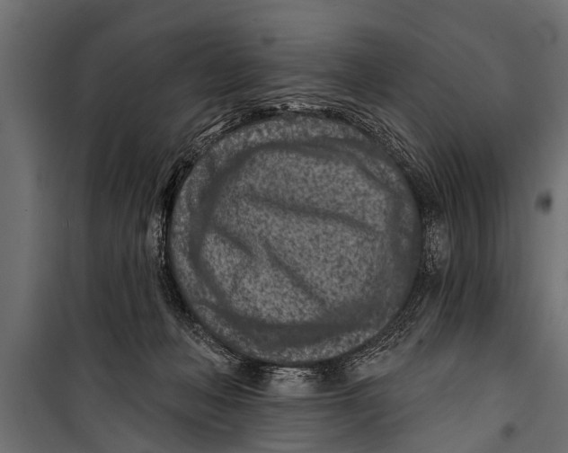 X0000099960222200806201345