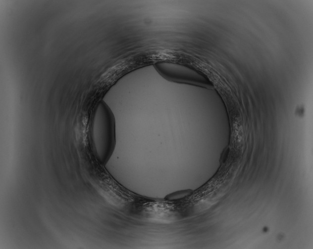 X0000099960223200806201345