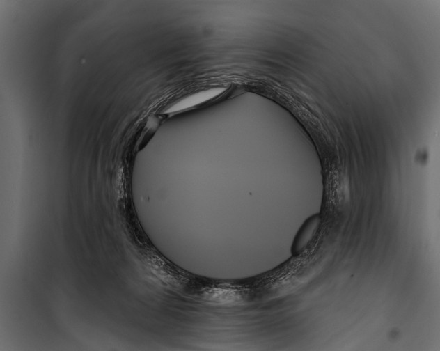 X0000099960224200806201344