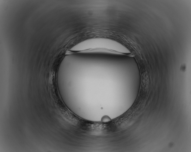 X0000099960225200806201344