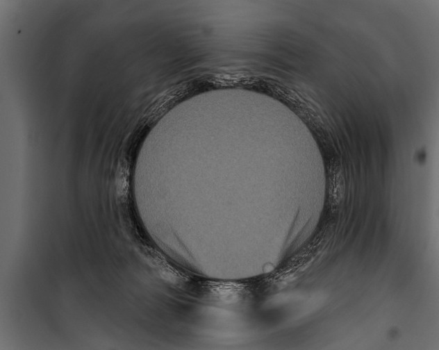X0000099960226200806201344