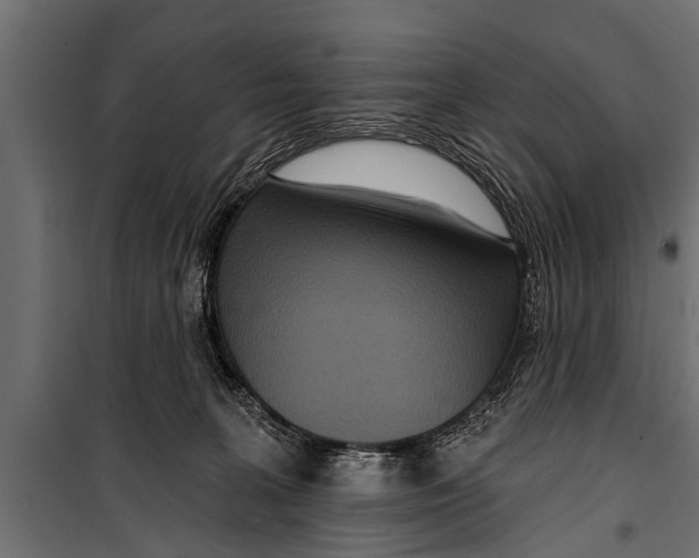 X0000099960227200806201344