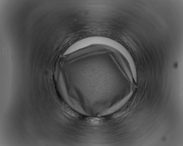 X0000099960229200806201344