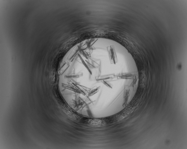 X0000099960230200806201344