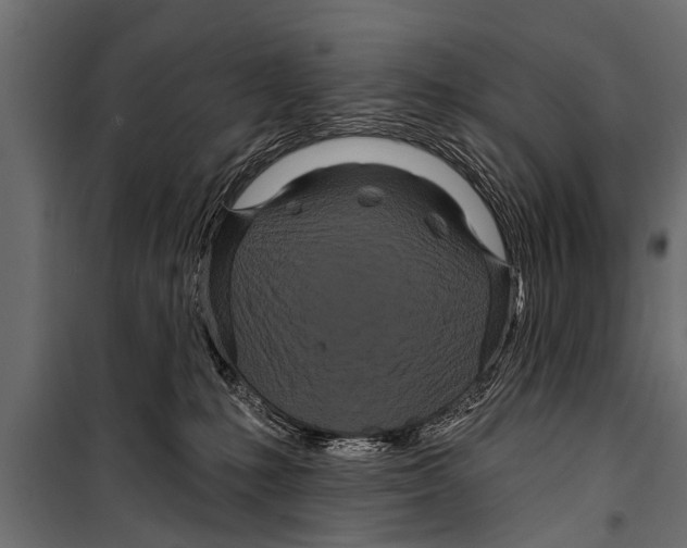 X0000099960231200806201344