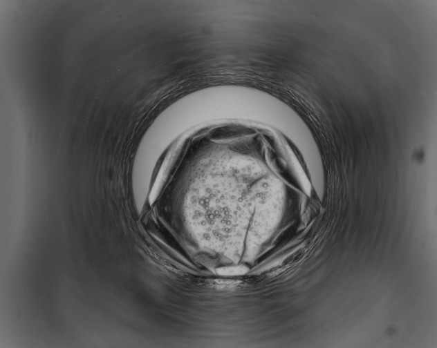 X0000099960233200806201344