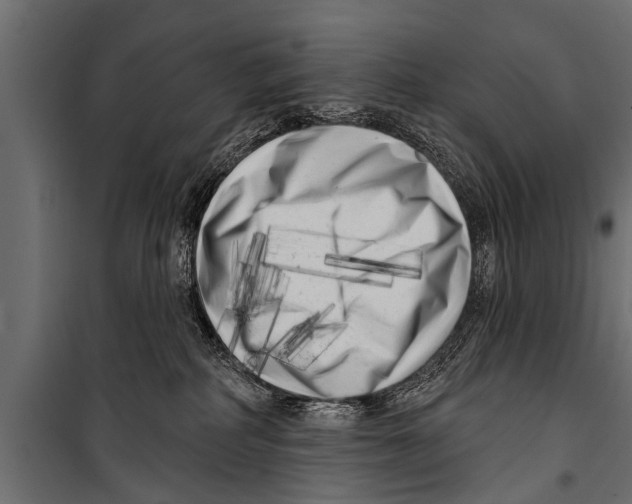 X0000099960234200806201344
