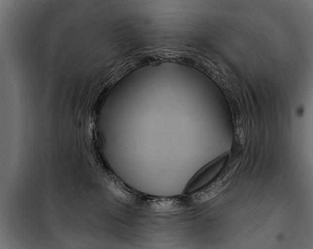 X0000099960235200806201344