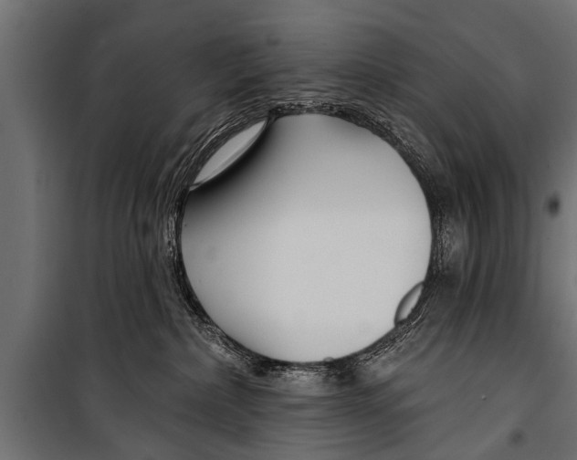 X0000099960236200806201344
