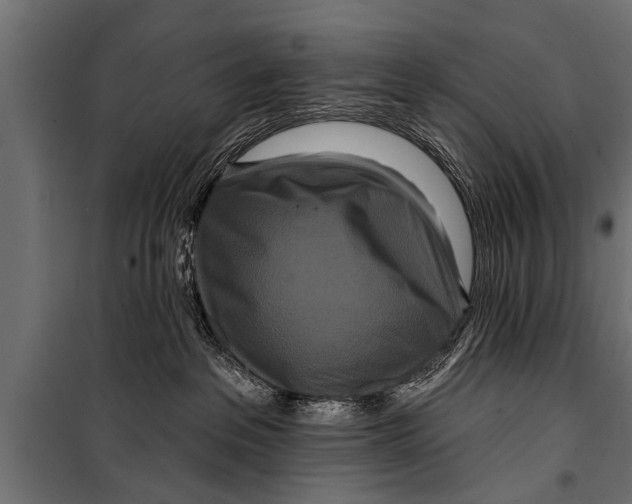 X0000099960237200806201344