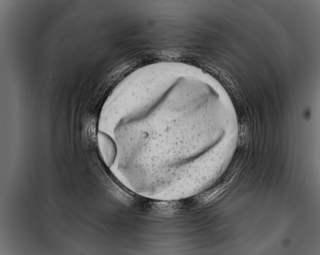 X0000099960238200806201344