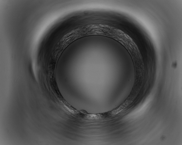 X0000099960239200806201344