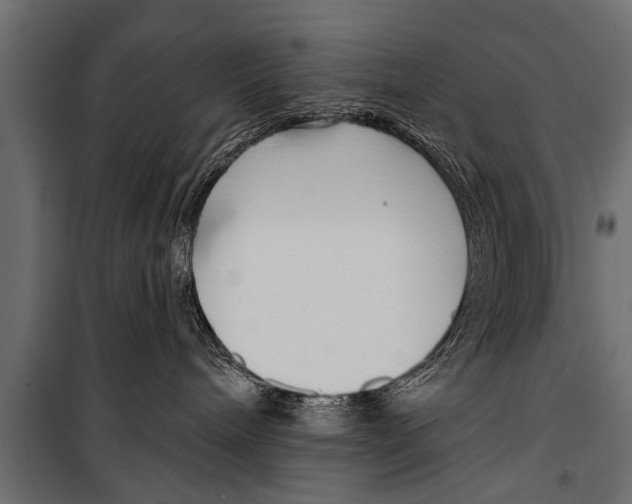 X0000099960240200806201344