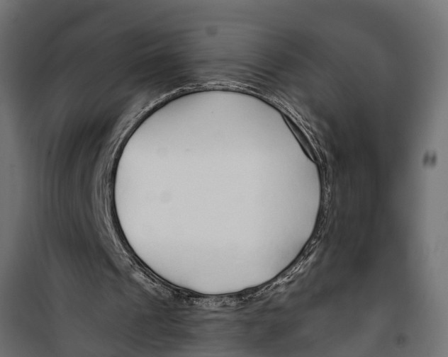 X0000099960241200806201344