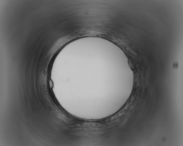 X0000099960242200806201344
