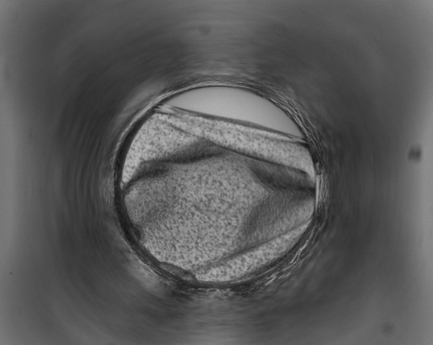 X0000099960243200806201344