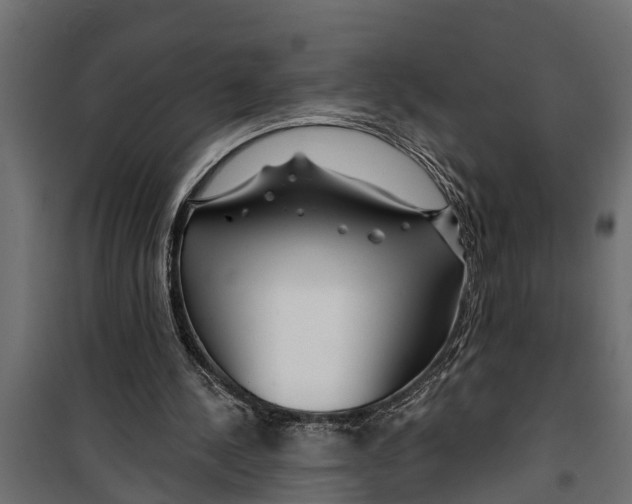 X0000099960244200806201344