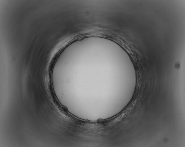 X0000099960245200806201344
