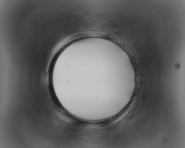 X0000099960246200806201344