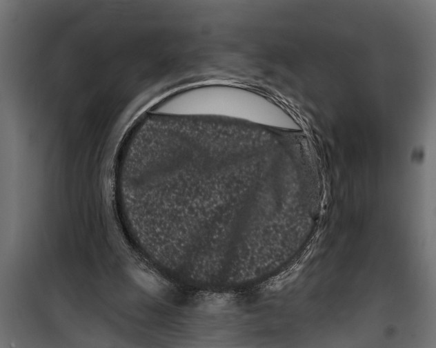 X0000099960247200806201344