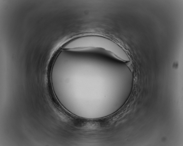 X0000099960248200806201344