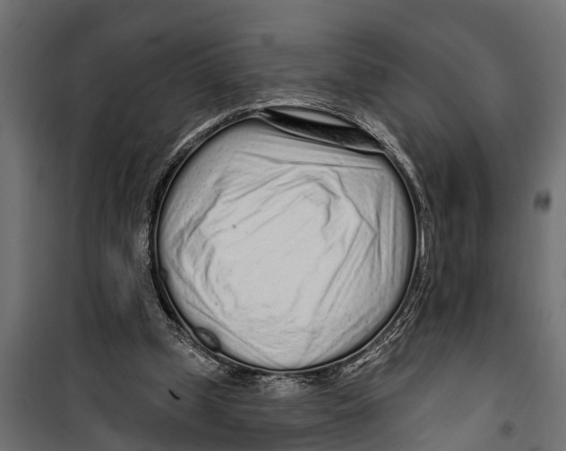 X0000099960249200806201344
