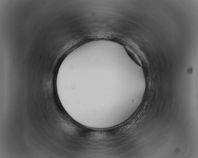 X0000099960250200806201344