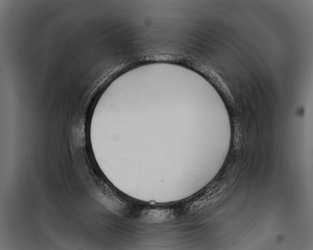 X0000099960251200806201344