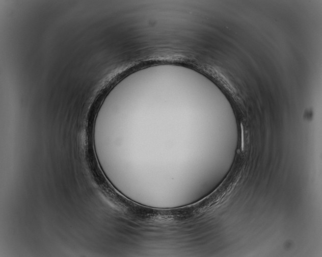 X0000099960252200806201344