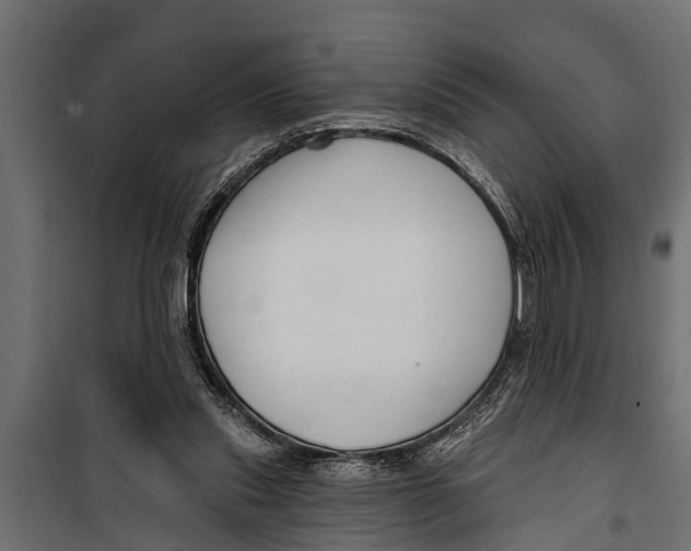 X0000099960253200806201344
