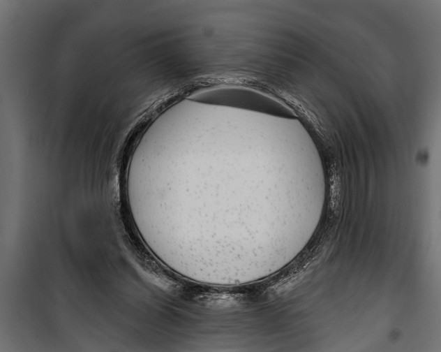 X0000099960254200806201344