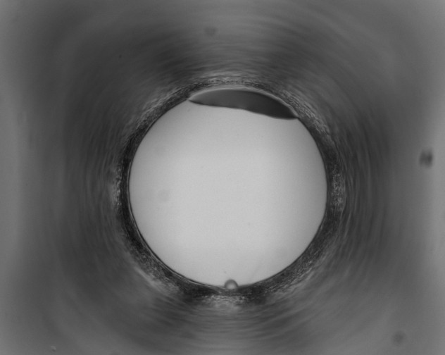 X0000099960255200806201344