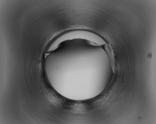X0000099960256200806201344