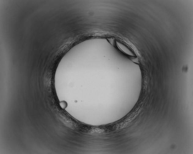 X0000099960257200806201344