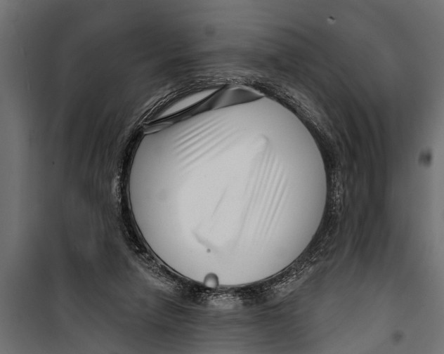 X0000099960258200806201344