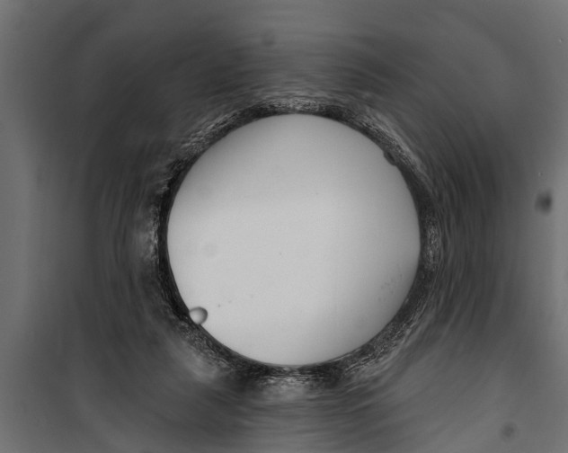 X0000099960259200806201344
