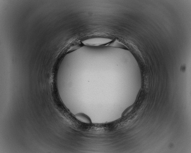 X0000099960260200806201344