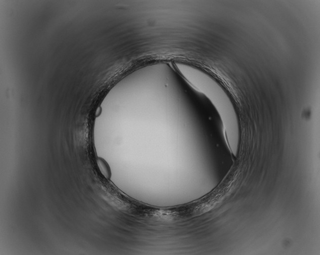 X0000099960261200806201344